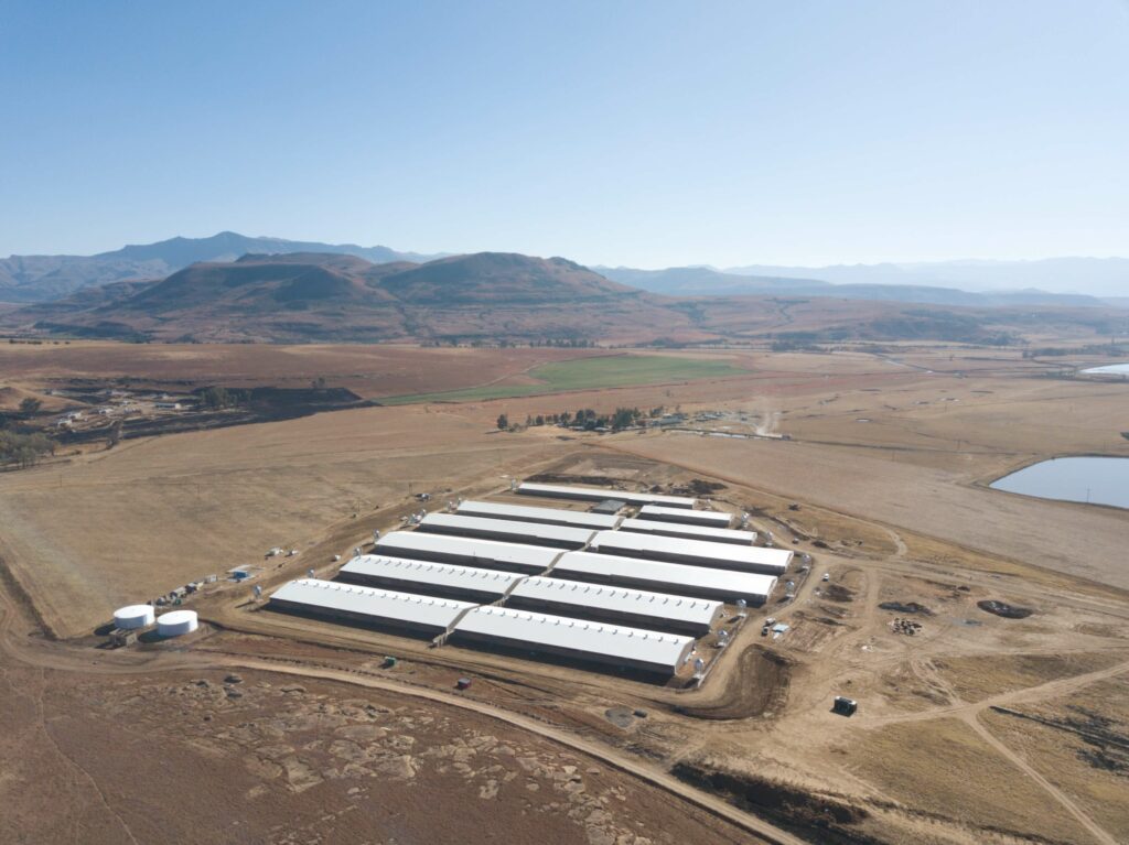 IDA Town Eastern Cape Pig farm agriculture project Site 1 Image 1