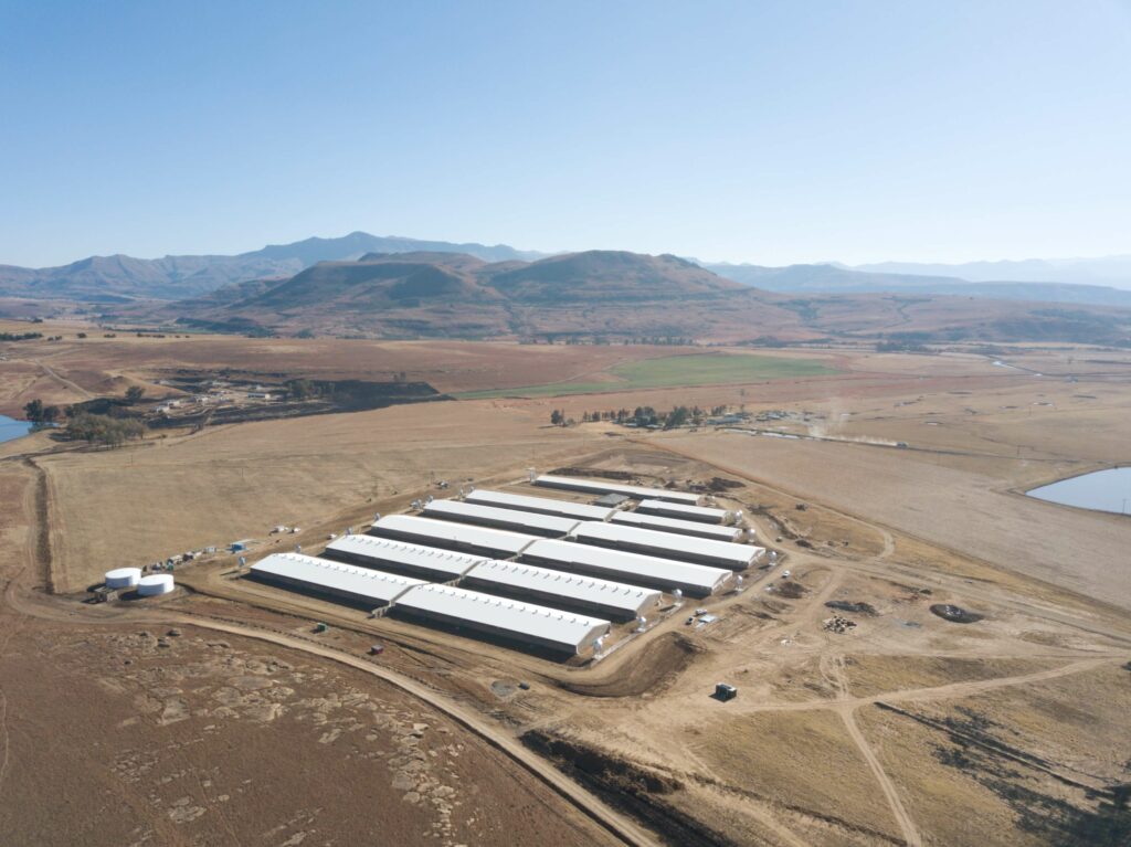 IDA Town Eastern Cape Pig farm agriculture project Site 1 Image 2
