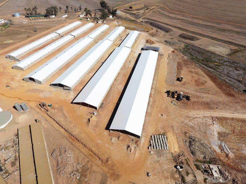Keibees Pig farm agricultural construction project 1