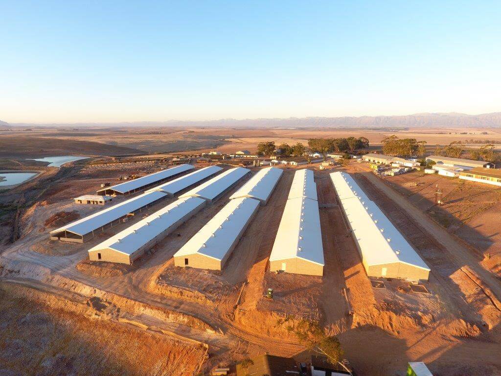 Keibees Pig farm agricultural construction project 3