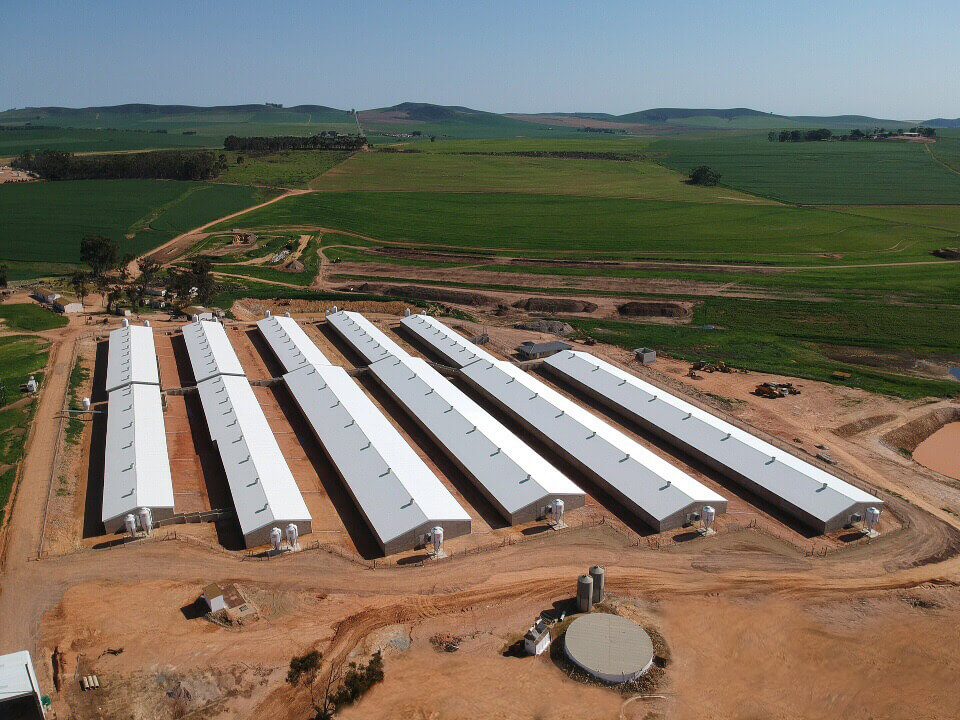 Keibees Pig farm agricultural construction project 4
