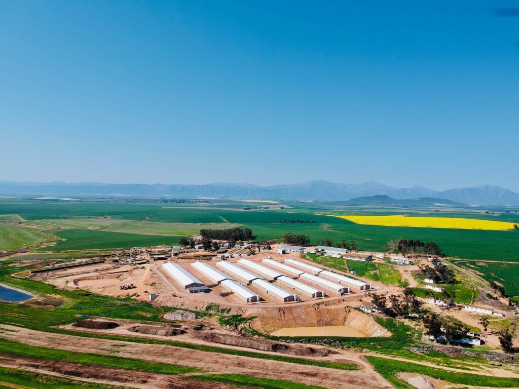 Keibees Pig farm agricultural construction project 5